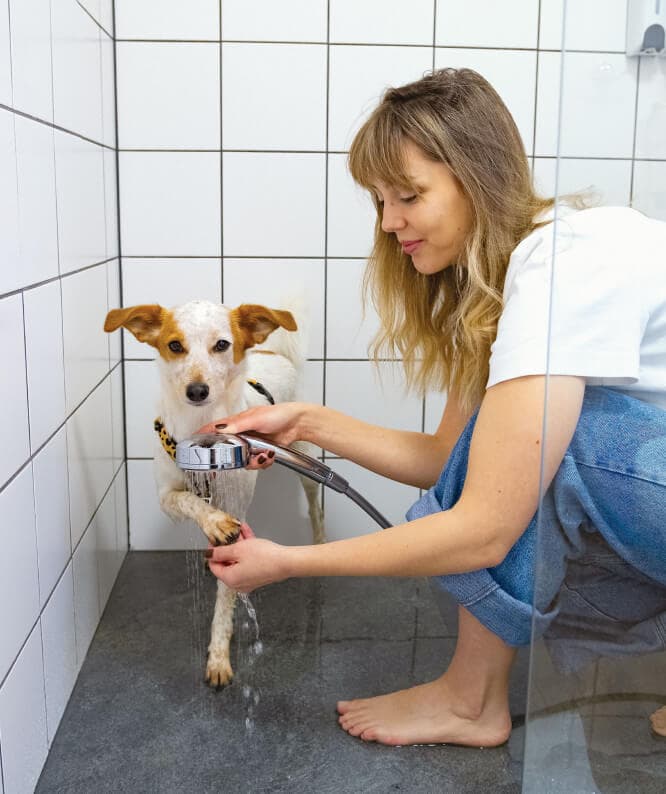 BridgeCity - Image 17