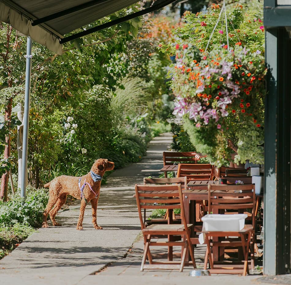 Hendry Living - Image 4