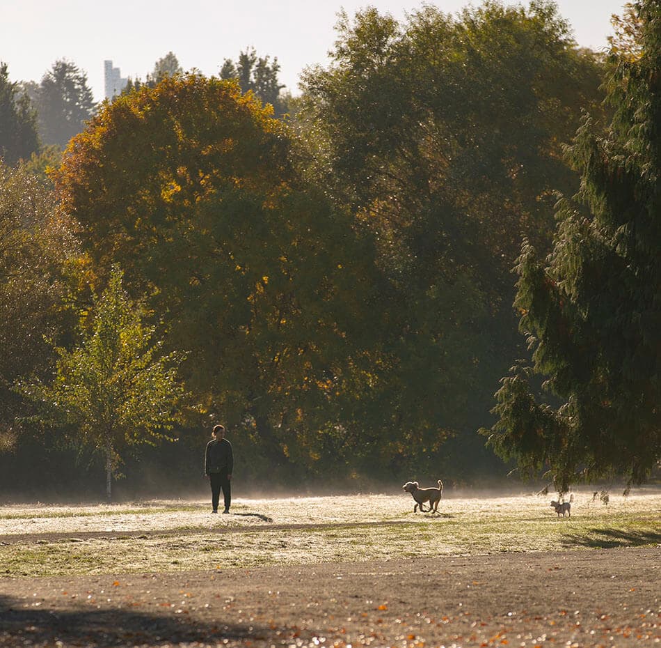 Hendry Living - Image 5